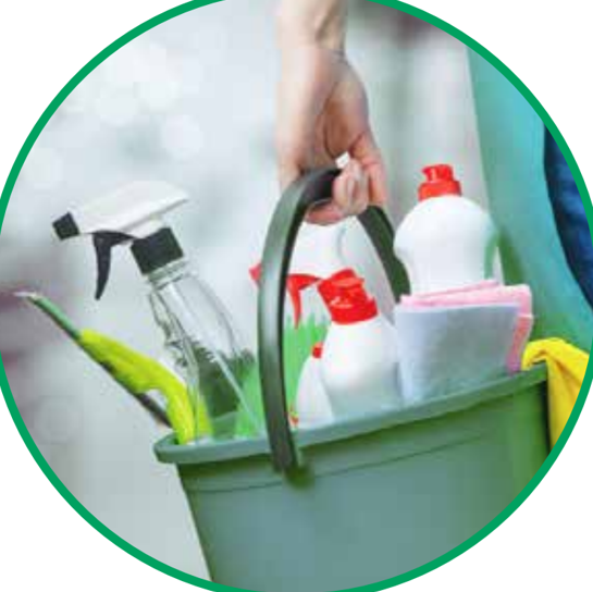 Desparacitación y prevención del hogar